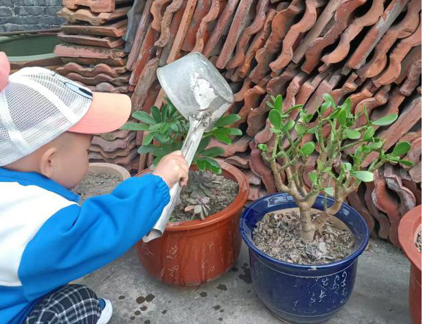 6fc7b8875949401dbd535ceeab539b0d.png 6fc7b8875949401dbd535ceeab539b0d.png