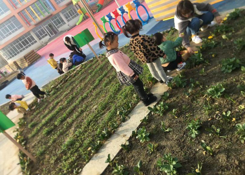 82ee408c36f3461a8c0d7b4f9e56806e.png 82ee408c36f3461a8c0d7b4f9e56806e.png